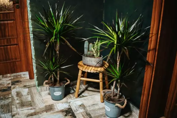 Wellness - Wine & Wellness Kamenice nad Lipou